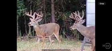 0 Georgia 72 unit CL344632, Comer, GA 30629 - photo 3