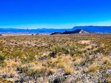 34952 Mariposa Dr, Terlingua, TX 79852 - photo 6