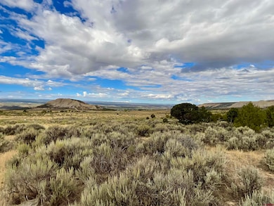 TBD Lot 22 7250 Rd, Montrose, CO 81403 - photo 2