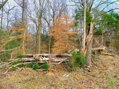 0 Old Lavinia Rd, Cedar Grove, TN 38321 - photo 4