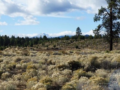 61557 Hardin Martin Ct, Bend, OR 97702 - photo 4