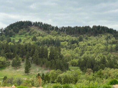 Lot 19 Summit Pass unit Dakota Highland Esta, Whitewood, SD 57793 - photo 5