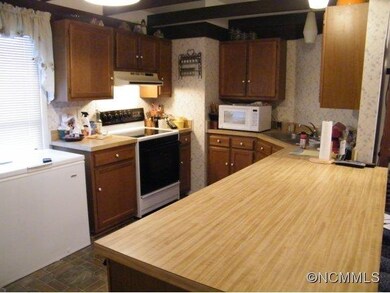 204 Scottlynn Dr, Asheville, NC 28806 - photo 5