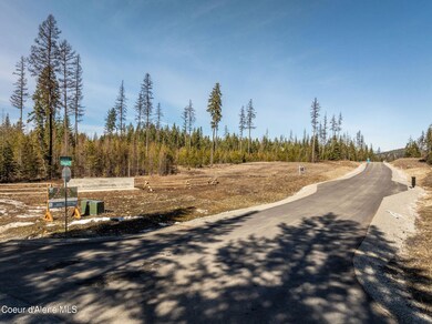 Asphalt Drive Entrance