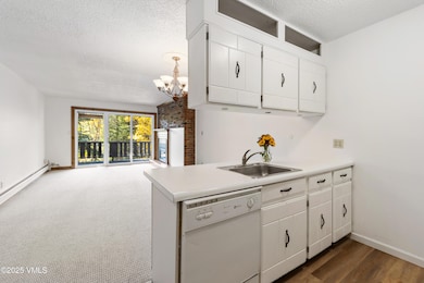 903 N Frontage Rd W unit 10, Vail, CO 81657 - photo 7