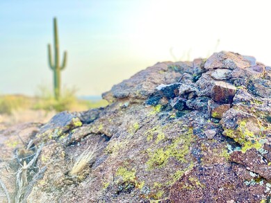 6 - IMG_9807