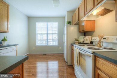 20420 Cool Fern Square, Ashburn, VA 20147 - photo 6