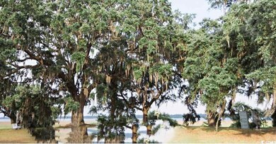 TBD Daisy Bank Cir, Georgetown, SC 29440 - photo 4