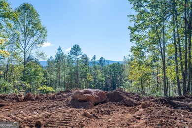 3887 Hwy 140 NE, Rydal, GA 30171 - photo 5