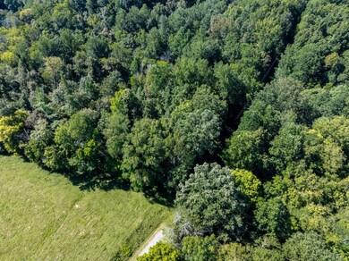 0 Mann Rd, Flintville, TN 37335 - photo 7