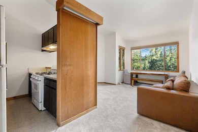 4098 Coyote Fork, Truckee, CA 96161 - photo 4