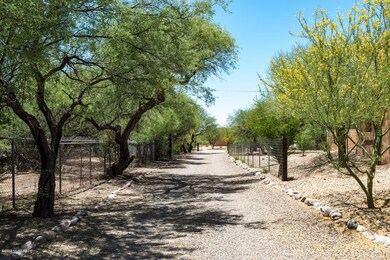 Mesquite Lined Street taking you Home