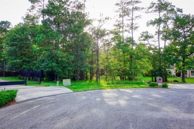 28607 Laurens Landing, Spring, TX 77386 - photo 4