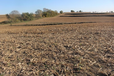 613 Clark St, Oakland, IA 51560 - photo 7