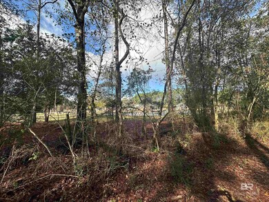 0 Patterson Rd unit 388847, Robertsdale, AL 36567 - photo 6