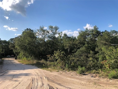 View from Todd to Rehner Rd. The lot is on the right side, about 100 feet from the corner.