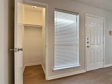 walk-in coat closet