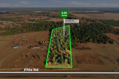 733 Pitts Rd, Hawkinsville, GA 31036 - photo 3