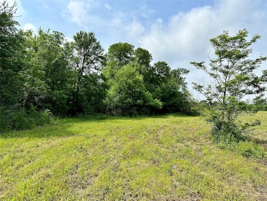 00 Quarry Rd, Brenham, TX 77833 - photo 3