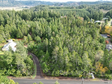 0 Prosper Junction Rd, Bandon, OR 97411 - photo 3