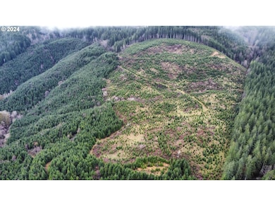 0 Logsden Rd, Logsden, OR 97357 - photo 4