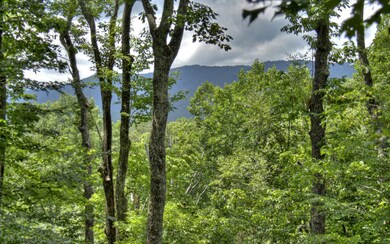 Additional View