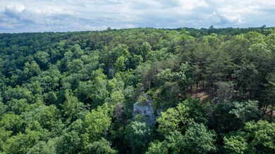 DJI_0132_2048px