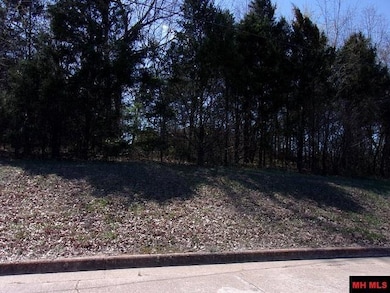 770-05063-000 8th St, Flippin, AR 72619 - photo 6