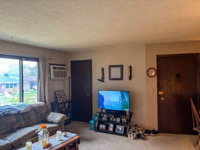 511 E High St unit 2, Morrison, IL 61270 - photo 4