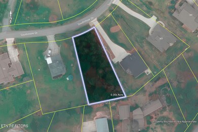 20_307 Southshore Drive_SatellitePlat