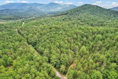 Lt 32 Belaire Dr, Copperhill, TN 37317 - photo 4