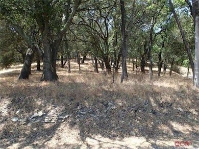 Facing the parcel from the road.