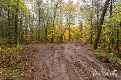 Parcel 4 - Possible Clearing for Home