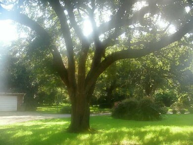 Land/Lot.