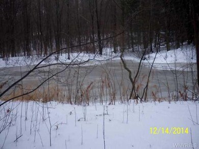 Waterfront Pond