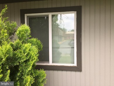 8019 Capistrano Place unit A, Alexandria, VA 22309 - photo 5