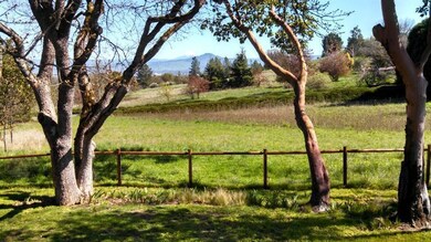 1660 Pair A Dice Ranch Rd, Jacksonville, OR 97530 - photo 7