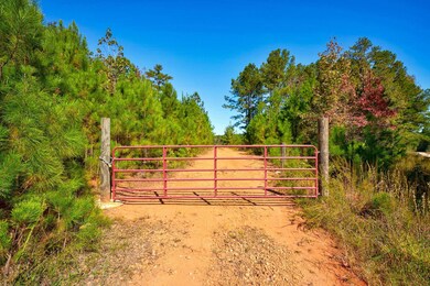 0 Bridges Rd, Carlton, GA 30627 - photo 2