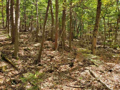 0 Pierce Rd, Chesterfield, NH 03462 - photo 3