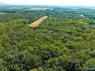 6.5 Acres Rock Spring Rd, Owens Cross Roads, AL 35763 - photo 7