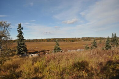 552 Gauthier Way, Dillingham, AK 99576 - photo 3