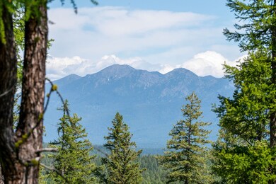 227 Chief Cliff Trail, Bigfork, MT 59911 - photo 2