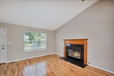 1851 Cambridge Dr, Carpentersville, IL 60110 - photo 6