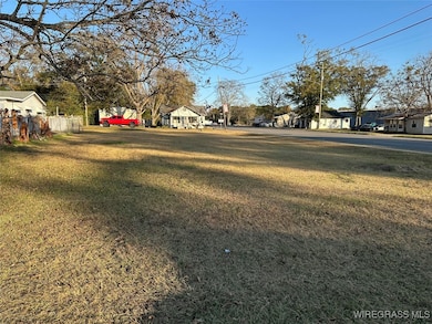 000 Middle St, Slocomb, AL 36375 - photo 6