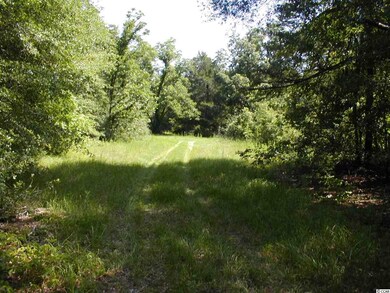 0 Sims Reach Rd, Kingstree, SC 29556 - photo 3