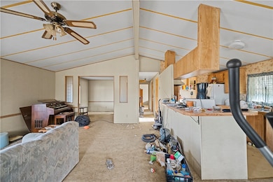 Living room featuring light colored carpet and a ceiling fan
