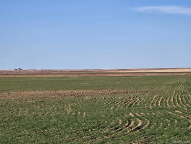 0 Cr K, Haswell, CO 81045 - photo 5