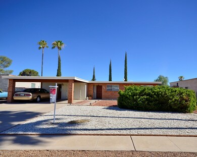 front of house easy care yard