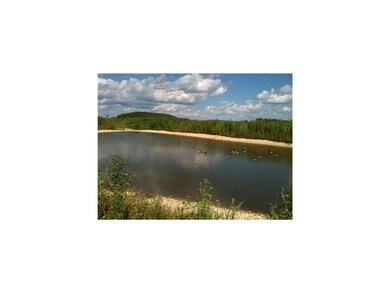 Other. Golden Gate Pond