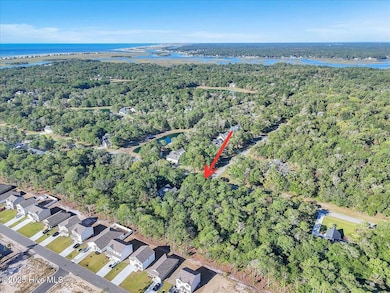 3349 Stone Crab SW, Supply, NC 28462 - photo 6